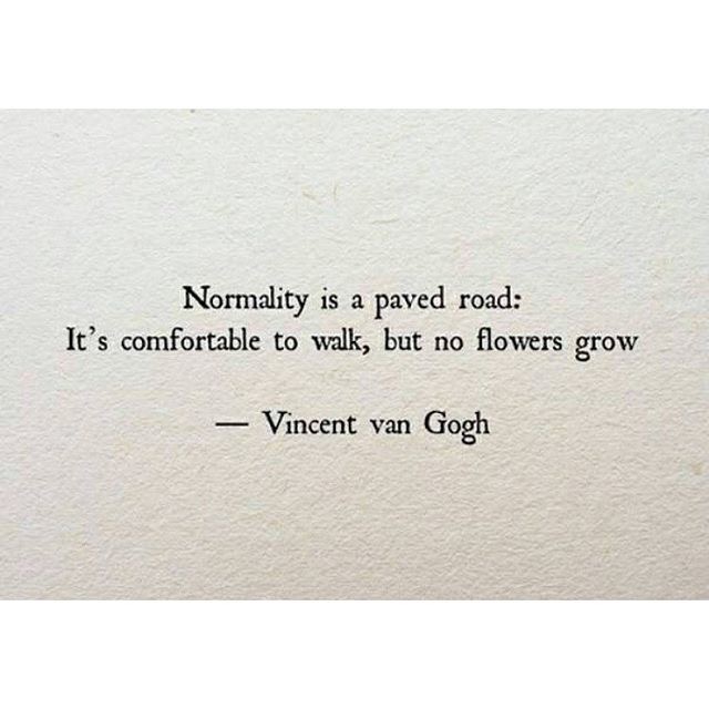 no-flowers-grown-on-a-concrete-road